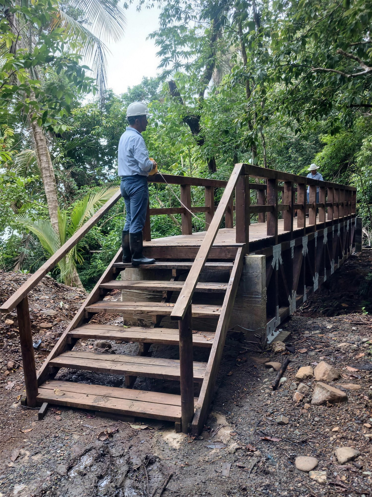 Puente peatonal en madera en la selva de Gorgona